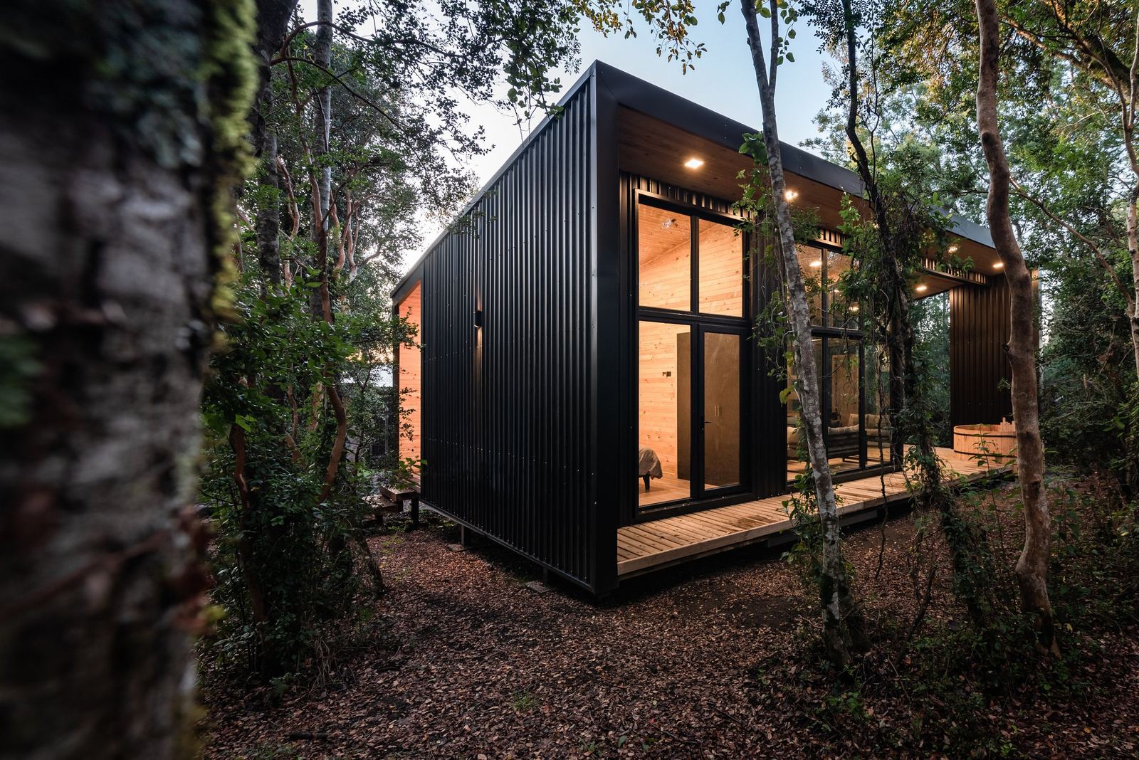 Cabaña Nativo en Pucón: revestimiento negro entre árboles nativos, interior en madera iluminado al atardecer